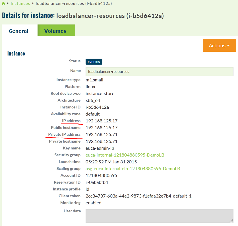 Load-Balancer instance public 192.168.125.17 and private 192.168.125.71 IPs