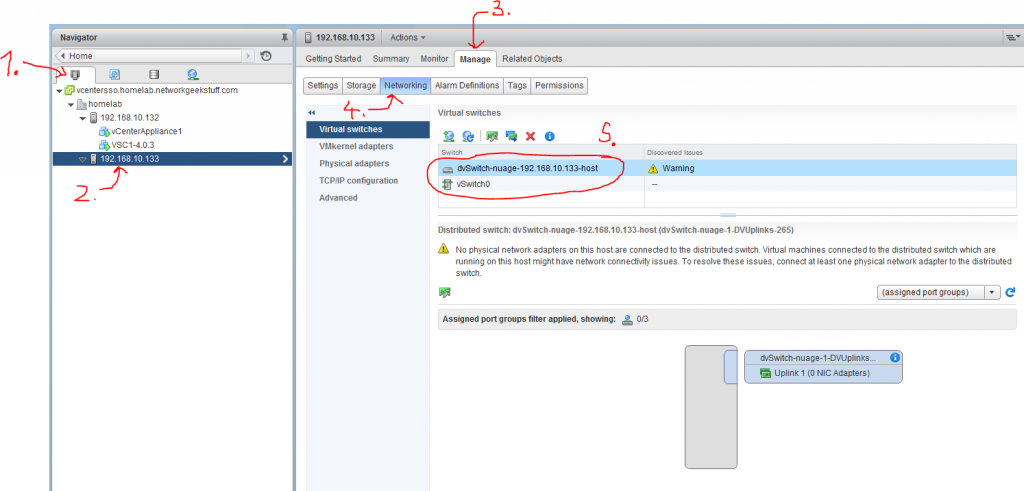 new dvSwitch and the old vSwitch0 both deployed on the ESXi host 192.168.10.133